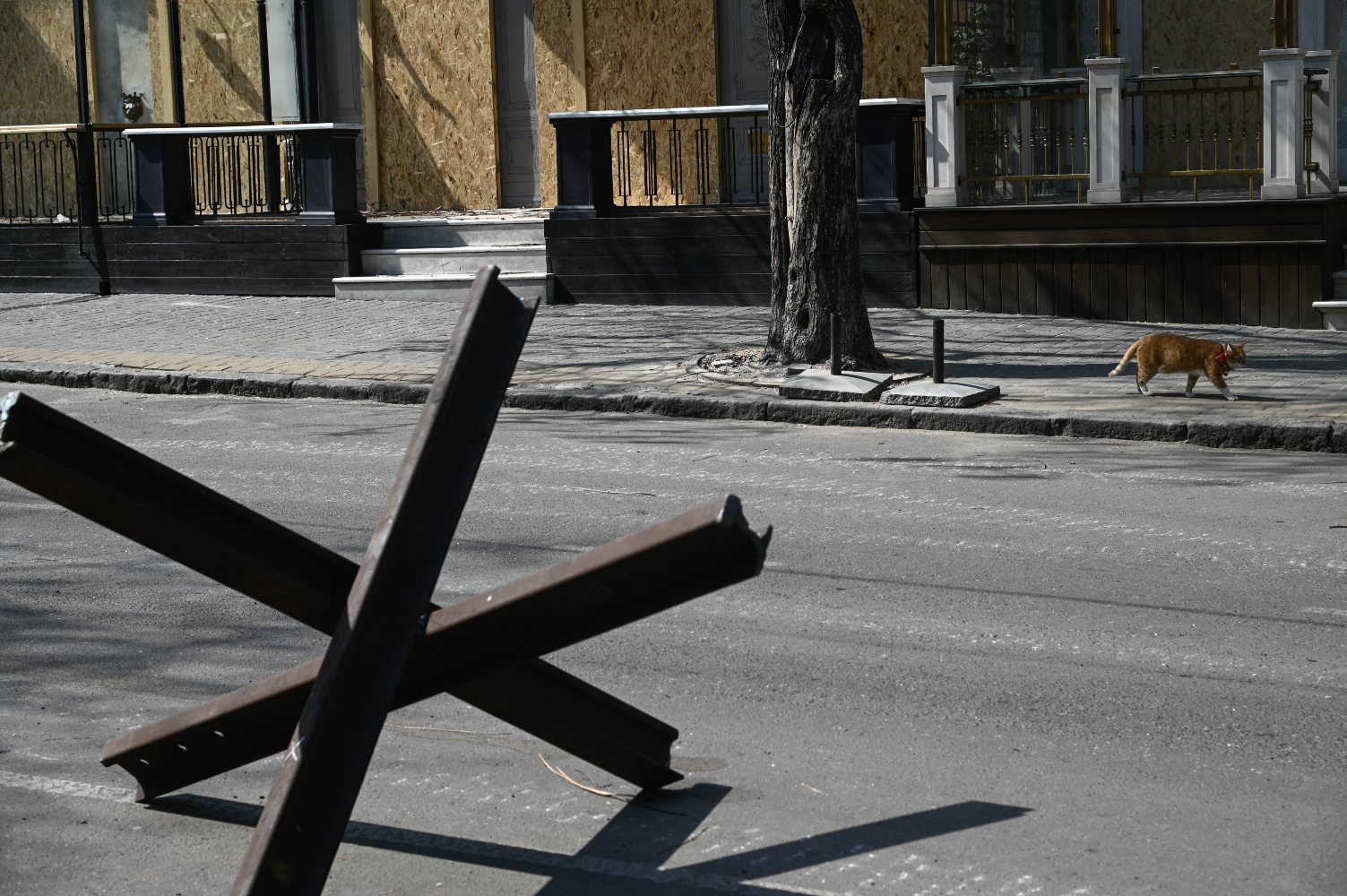 «Η εισβολή στην Ουκρανία είναι μόνο η αρχή» λέει ο Ζελένσκι – Στο κενό οι εκκλήσεις για τη Μαριούπολη