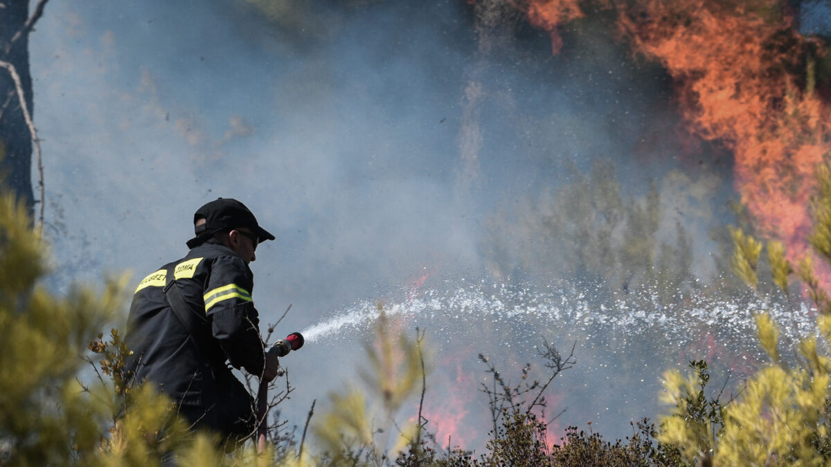Δασοπροστασία και πρόληψη: Για ακόμη μια χρονιά ανοχύρωτη η χώρα απέναντι στις πυρκαγιές