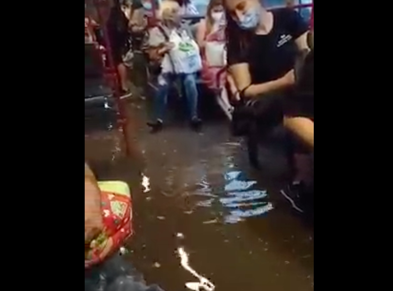 Καταπληκτική ποιότητα ζωής: Επιβάτες εγκλωβίστηκαν σε πλημμυρισμένο λεωφορείο στη Θεσσαλονίκη (Video)