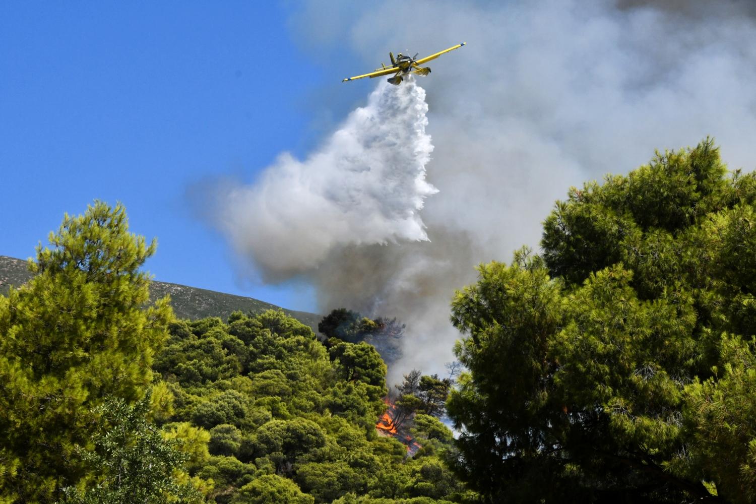 Λάρισα: Φωτιά ξέσπασε κοντά στα Τέμπη