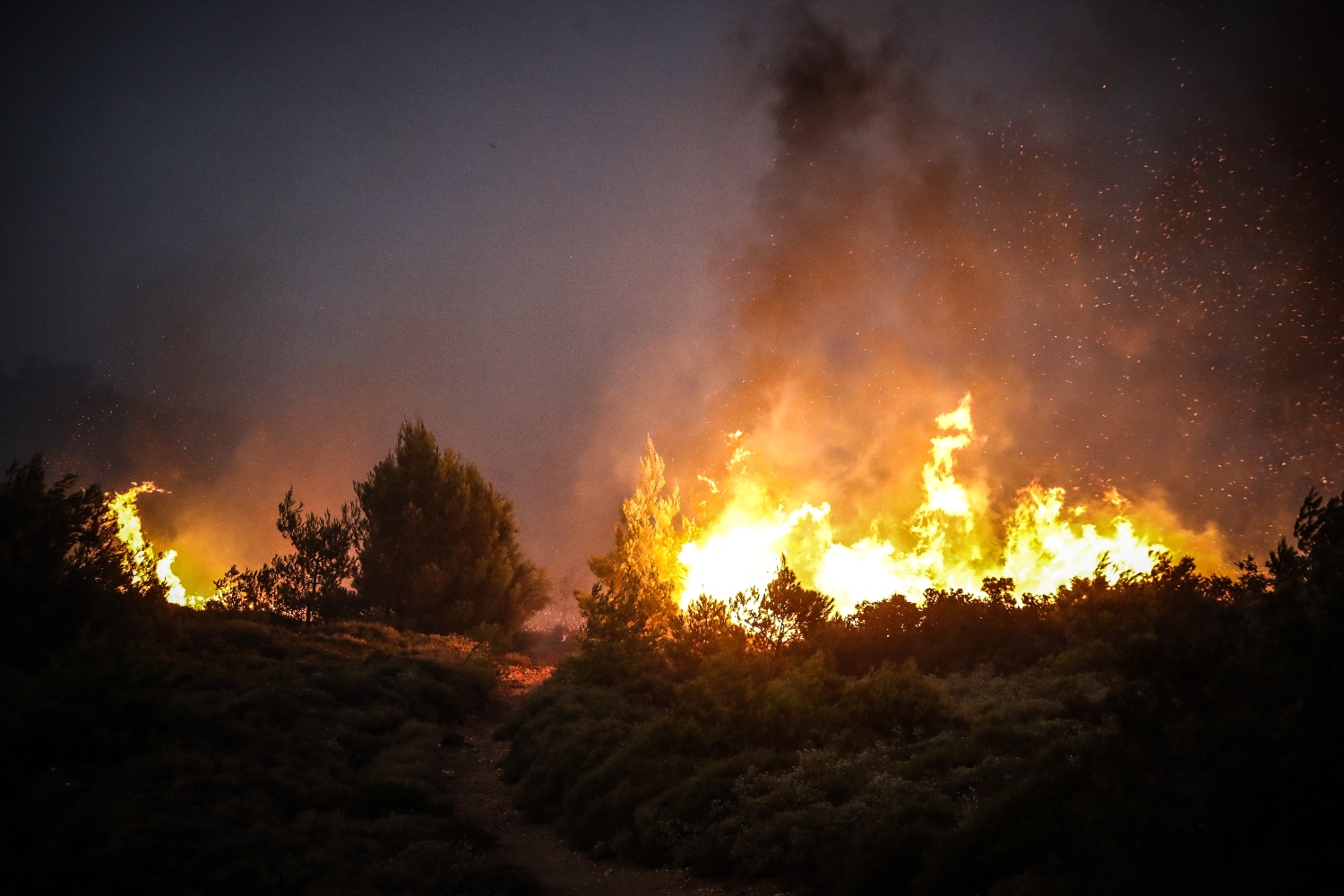 Πολλά τα πύρινα μέτωπα στη χώρα: Φωτιές σε Λέσβο, Ηλεία, Μεσσηνία, Έβρο, Κρήτη και Γρεβενά