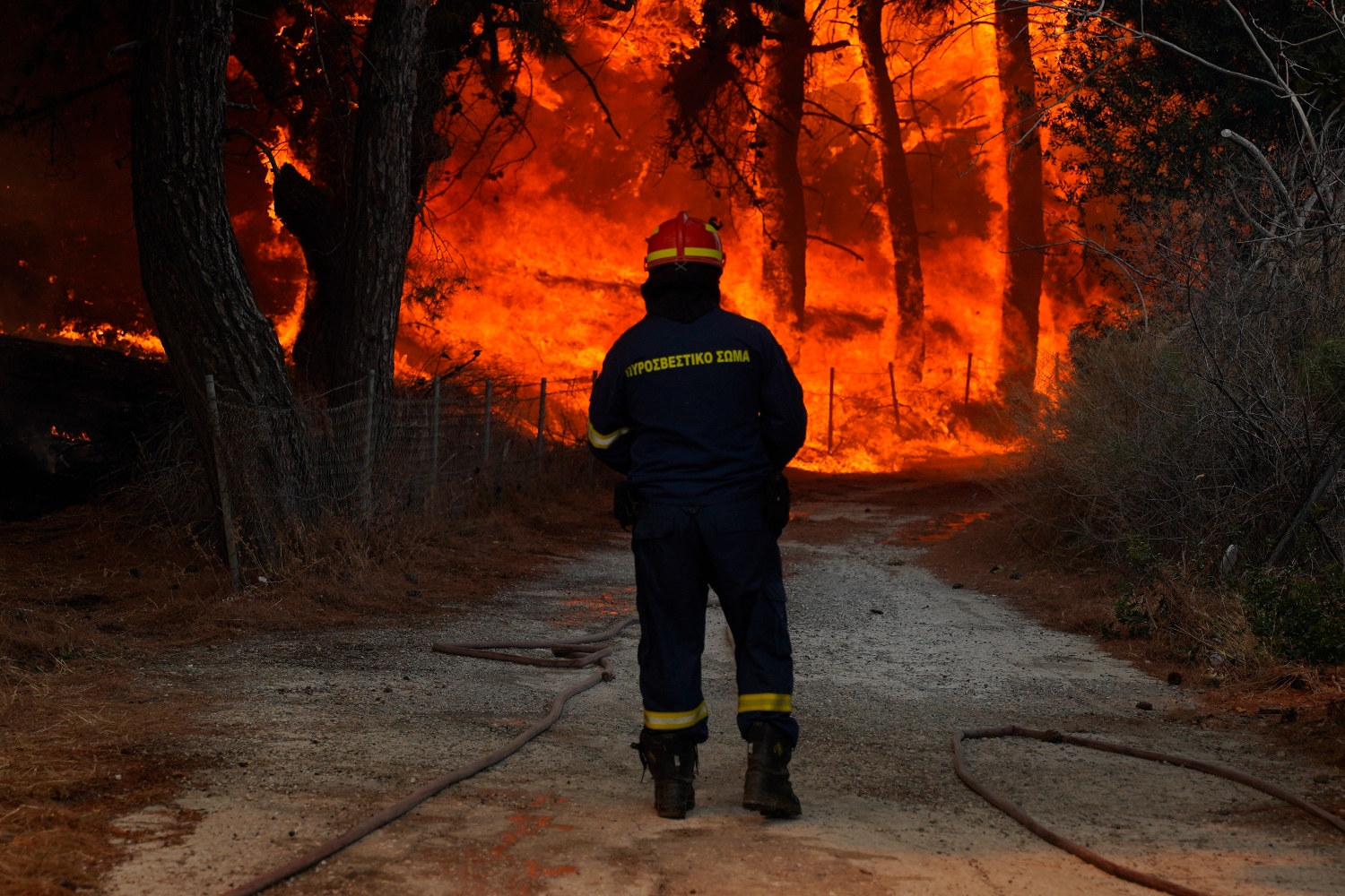 Θάσος: Αναζωπυρώθηκε η φωτιά – Νέα μάχη με τις φλόγες