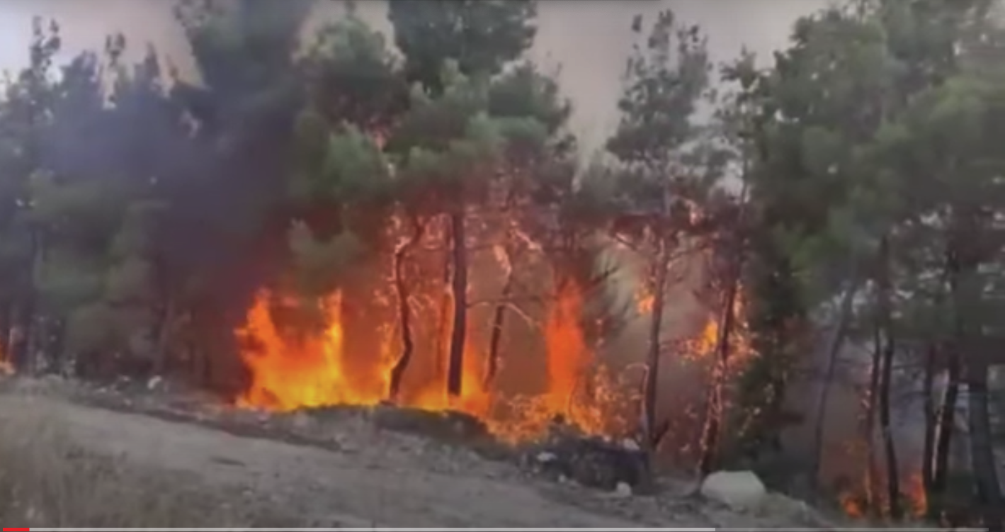 Φωτιά στο Σουφλί: Βελτιωμένη η εικόνα – Συνεχίζεται η μάχη στο δάσος Δαδιάς