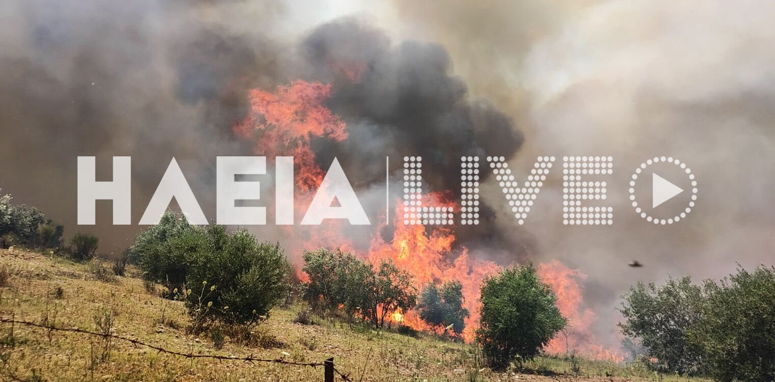 Φωτιά στην Ηλεία: Τραυματίστηκε πυροσβέστης – Ενισχύονται οι δυνάμεις