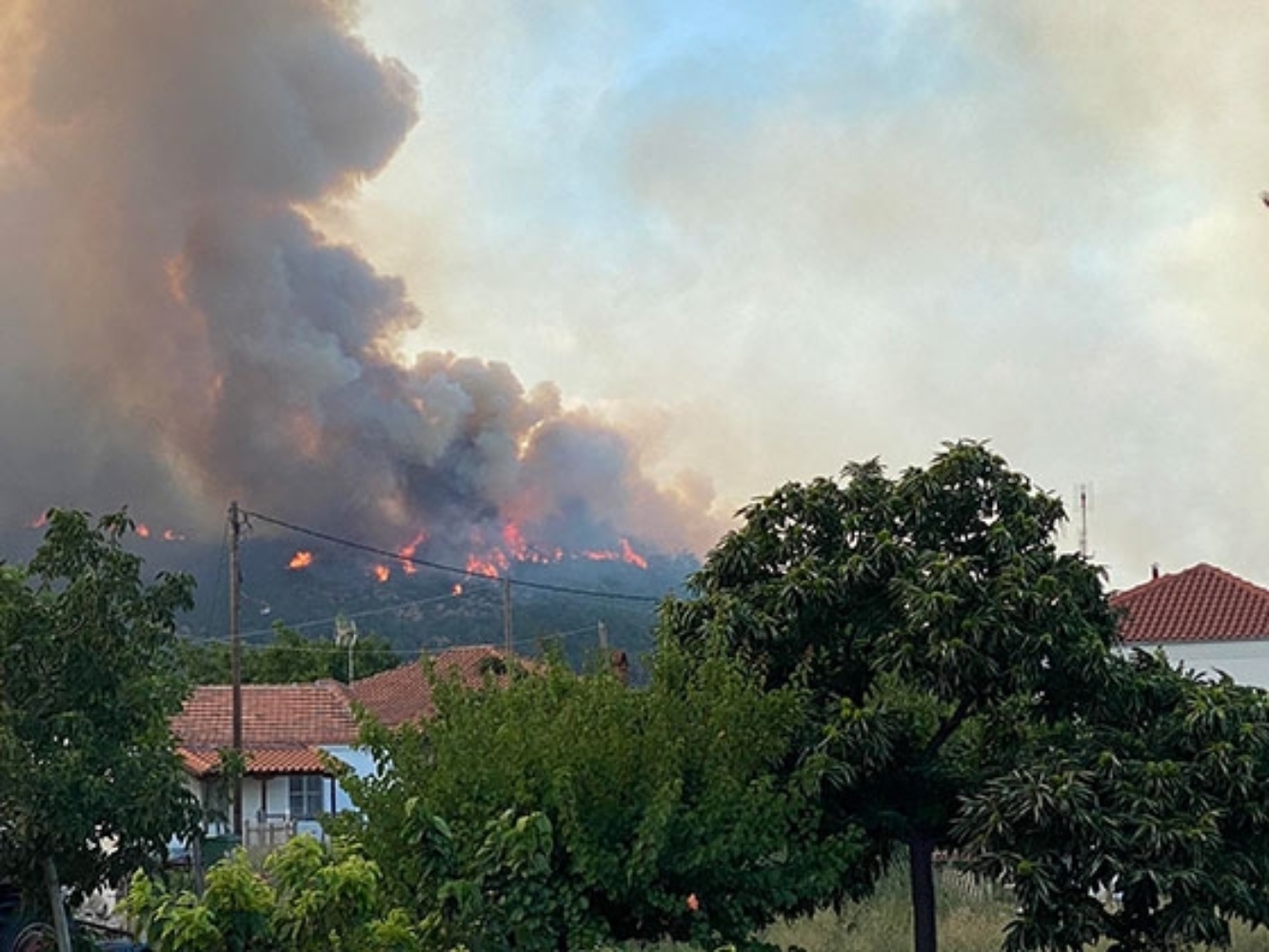 Φωτιά στο Σουφλί: Στις φλόγες ο μισός πυρήνας του δάσους της Δαδιάς