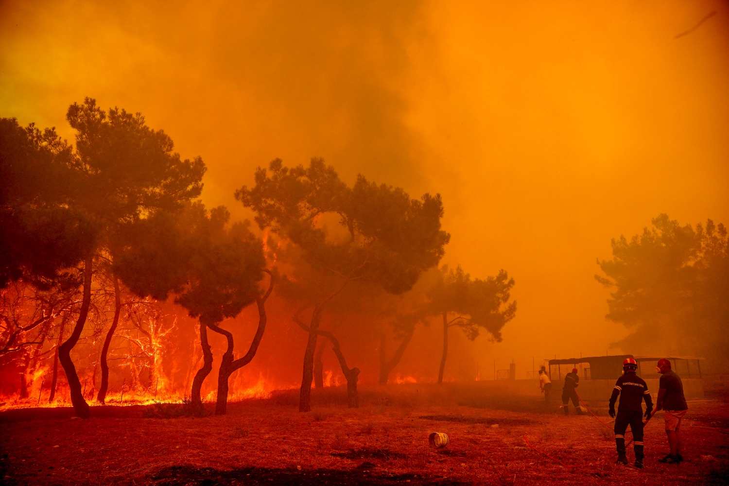 Για τέταρτη μέρα καίγεται το δάσος της Δαδιάς – Αδιάκοπη η μάχη με τις φλόγες στη Λέσβο