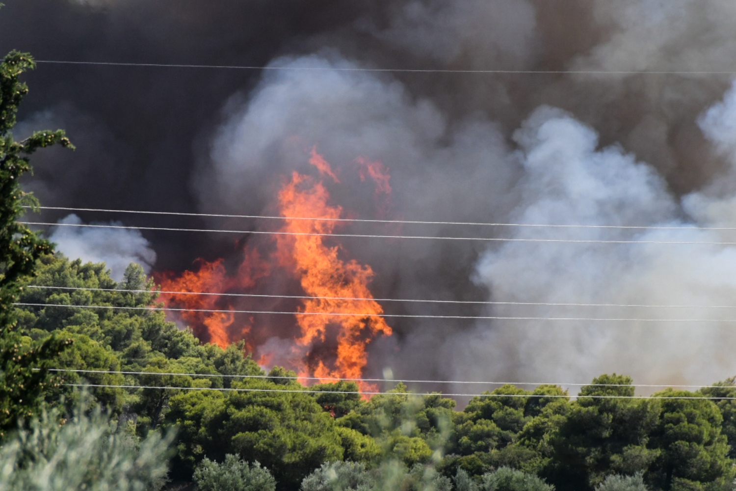 Φωτιά στο Ρέθυμνο: «Οργανωμένο σχέδιο να μας κάψουν – Δε γίνεται να παλεύουμε άλλο»