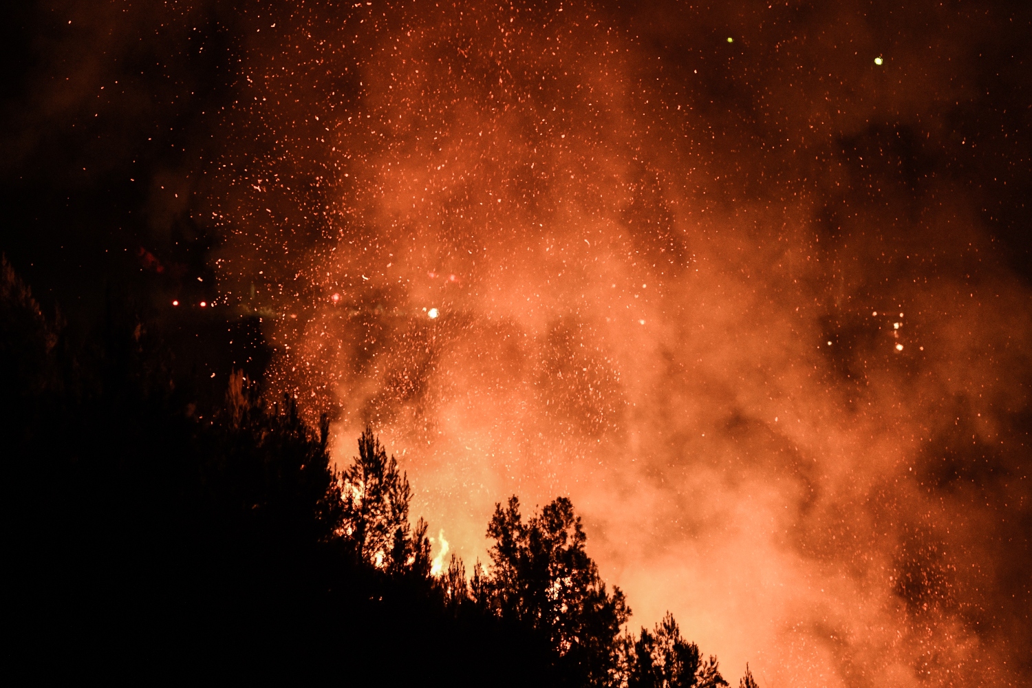 Μεγάλες πυρκαγιές σε Φωκίδα – Αργολίδα: Μήνυμα 112 στους κατοίκους Άμφισσας – Εκκενώθηκε ξενοδοχείο στο Κρανίδι