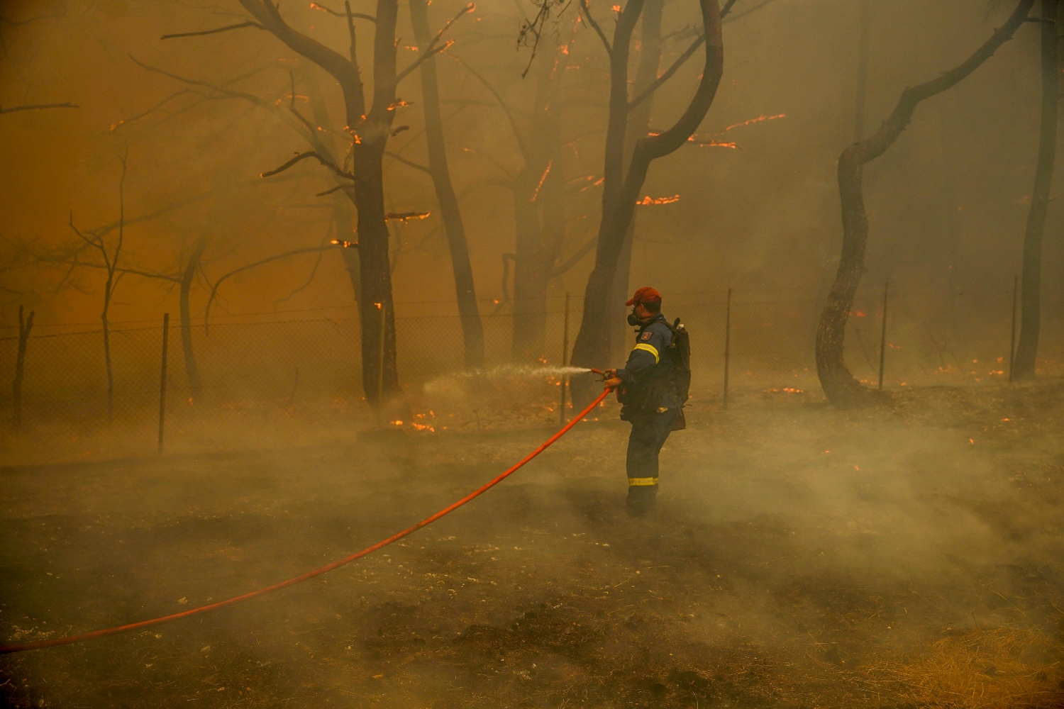 Ανεξέλεγκτα τα μέτωπα πυρκαγιάς στο δάσος Δαδιάς και τη Λέσβο