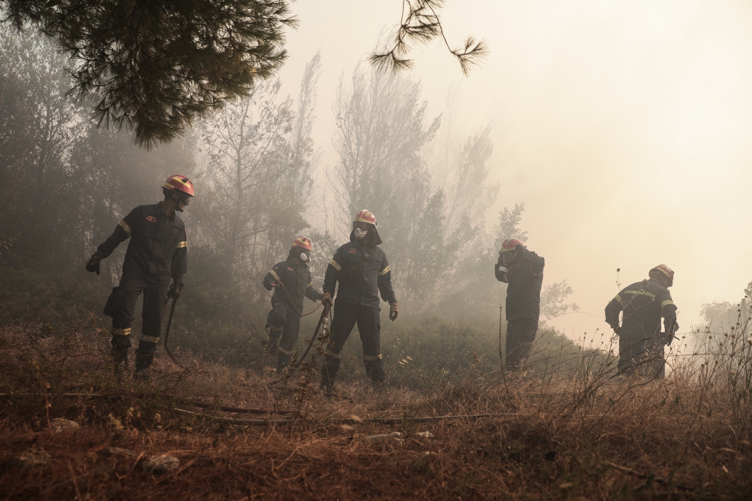 Φωτιά στην Πεντέλη: 34 τραυματίες σε νοσοκομεία της Αττικής – Ανάμεσά τους 3 πυροσβέστες