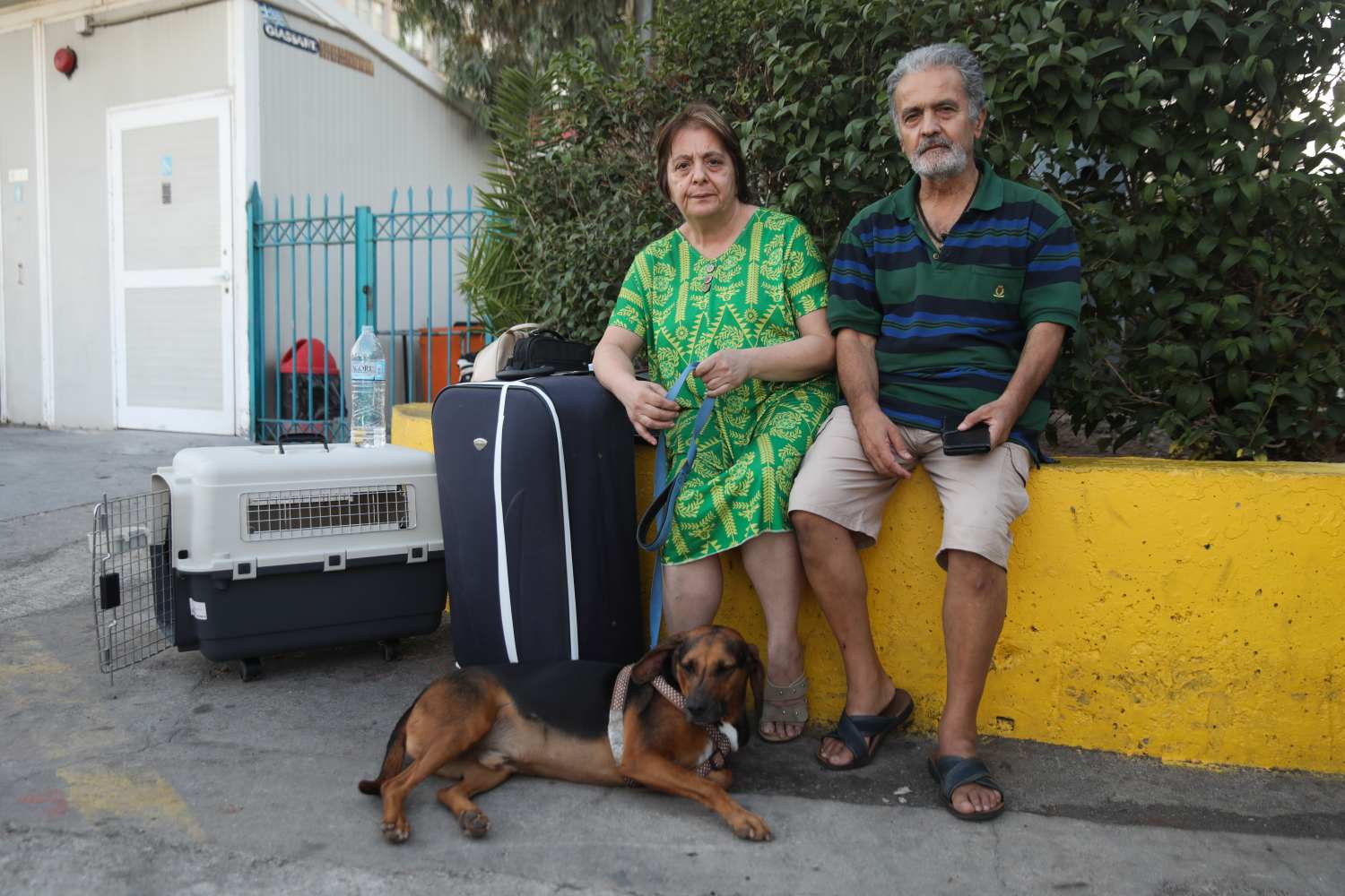 Ζευγάρι έμεινε στον Πειραιά γιατί δεν τους δεχόταν κανένα ξενοδοχείο επειδή είχαν σκύλο!