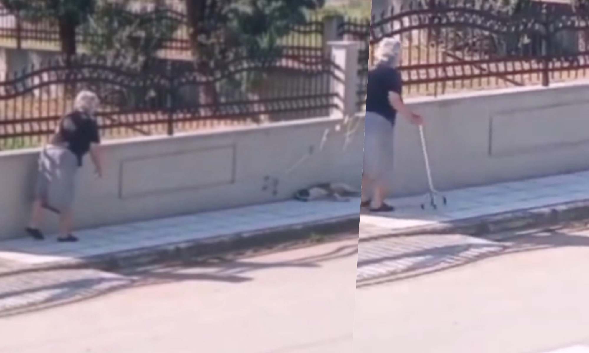 Ηλικιωμένη πέταξε το μπαστούνι της σε σκυλάκι που κοιμόταν στη δροσιά (Video)