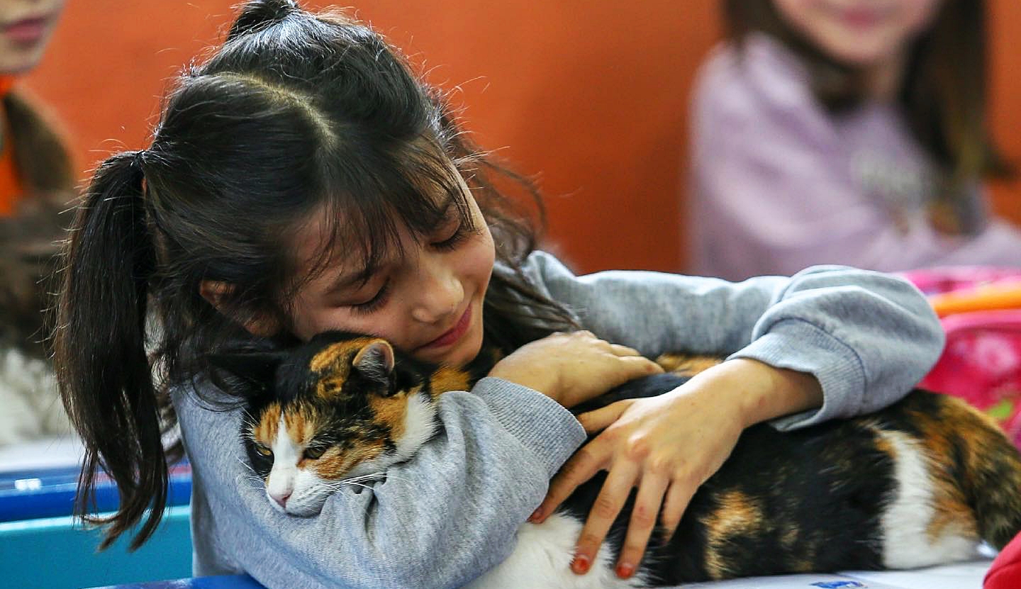 Γάτες βρήκαν καταφύγιο σε σχολείο της Τουρκίας και δέθηκαν με τους μαθητές