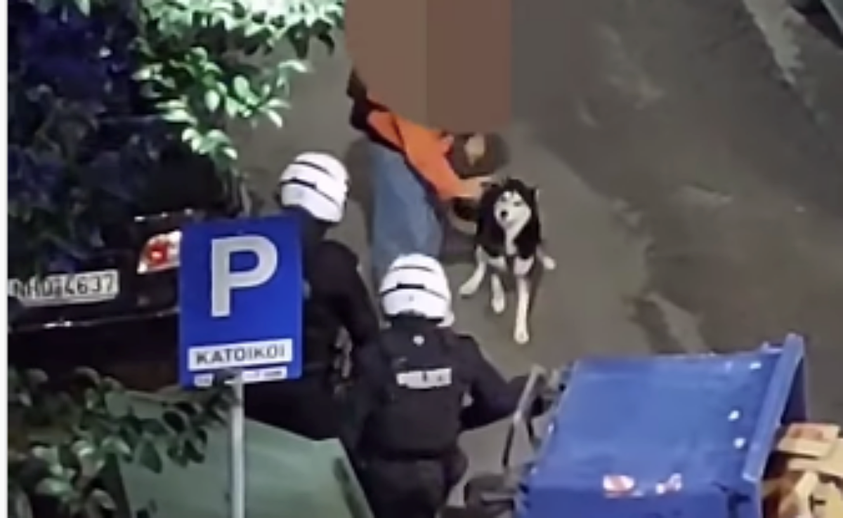 Σκύλος μπαίνει «ασπίδα» για να σώσει τον συνοδό του από αστυνομικούς