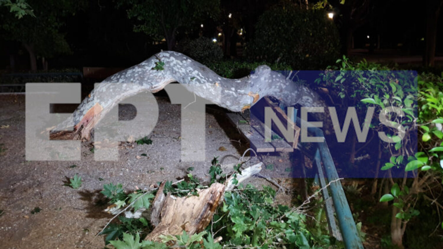 Ατύχημα στο Ζάππειο: «Γεγονός που οφείλεται σε απρόοπτο συμβάν της φύσης», σύμφωνα με ανακοίνωση