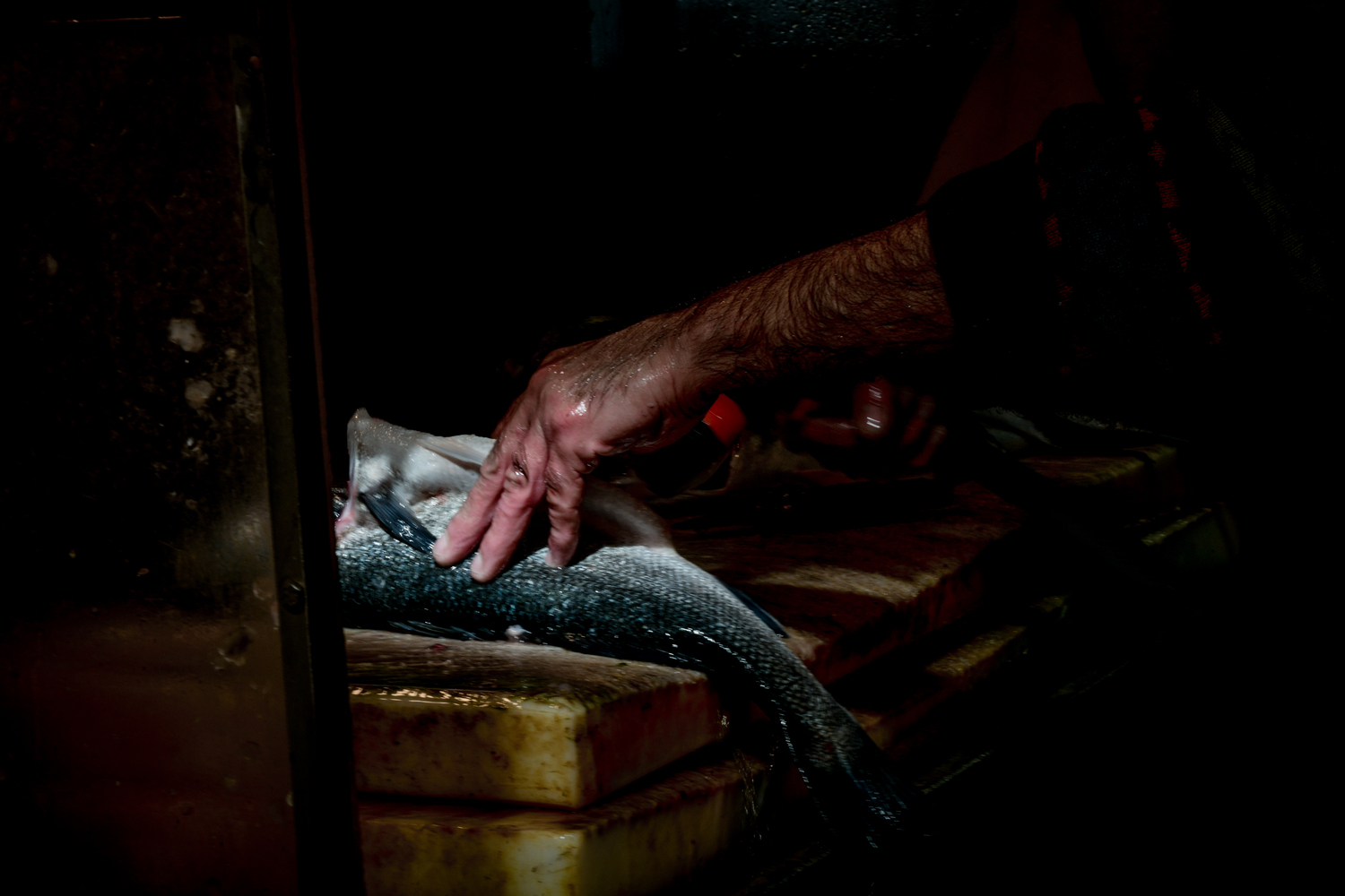 Κάρπαθος: «Μεμονωμένο συμβάν», απαντούν από την ταβέρνα όπου τηγάνισαν ζωντανά ψάρια