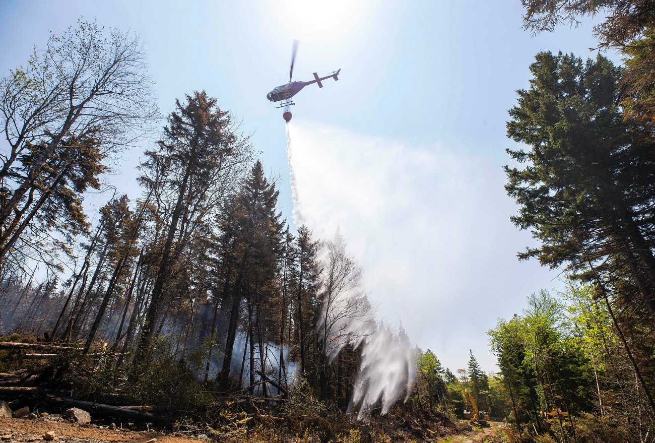 Καναδάς: 60 εκατ. στρέμματα καταστράφηκαν από τις πυρκαγιές