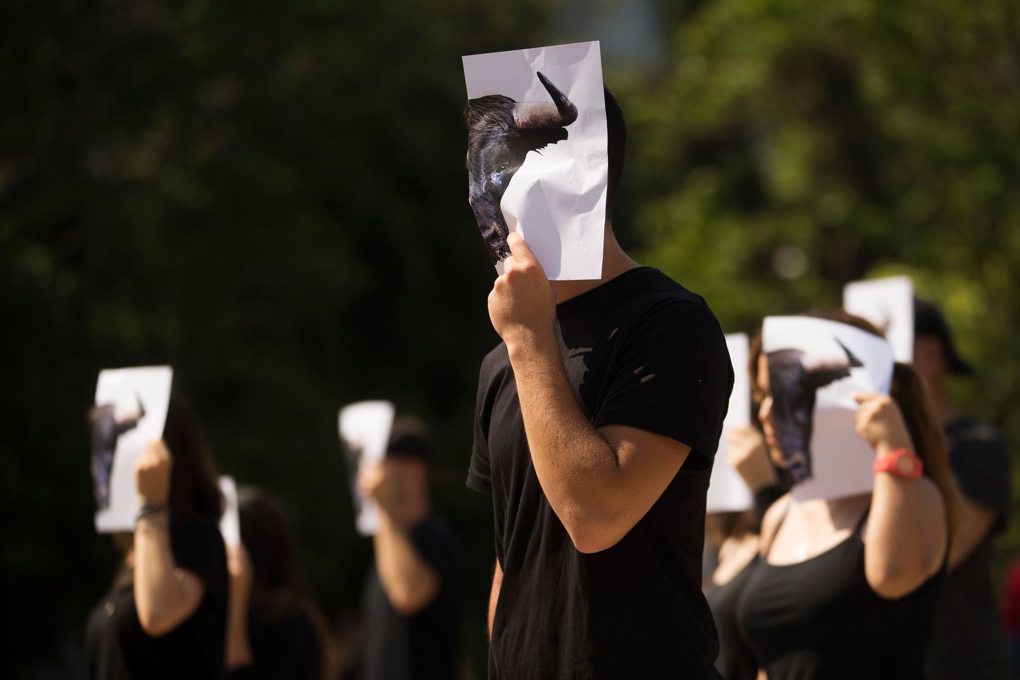 Λέσβος: Οργή και διαμαρτυρίες για το έθιμο της σφαγής του ταύρου