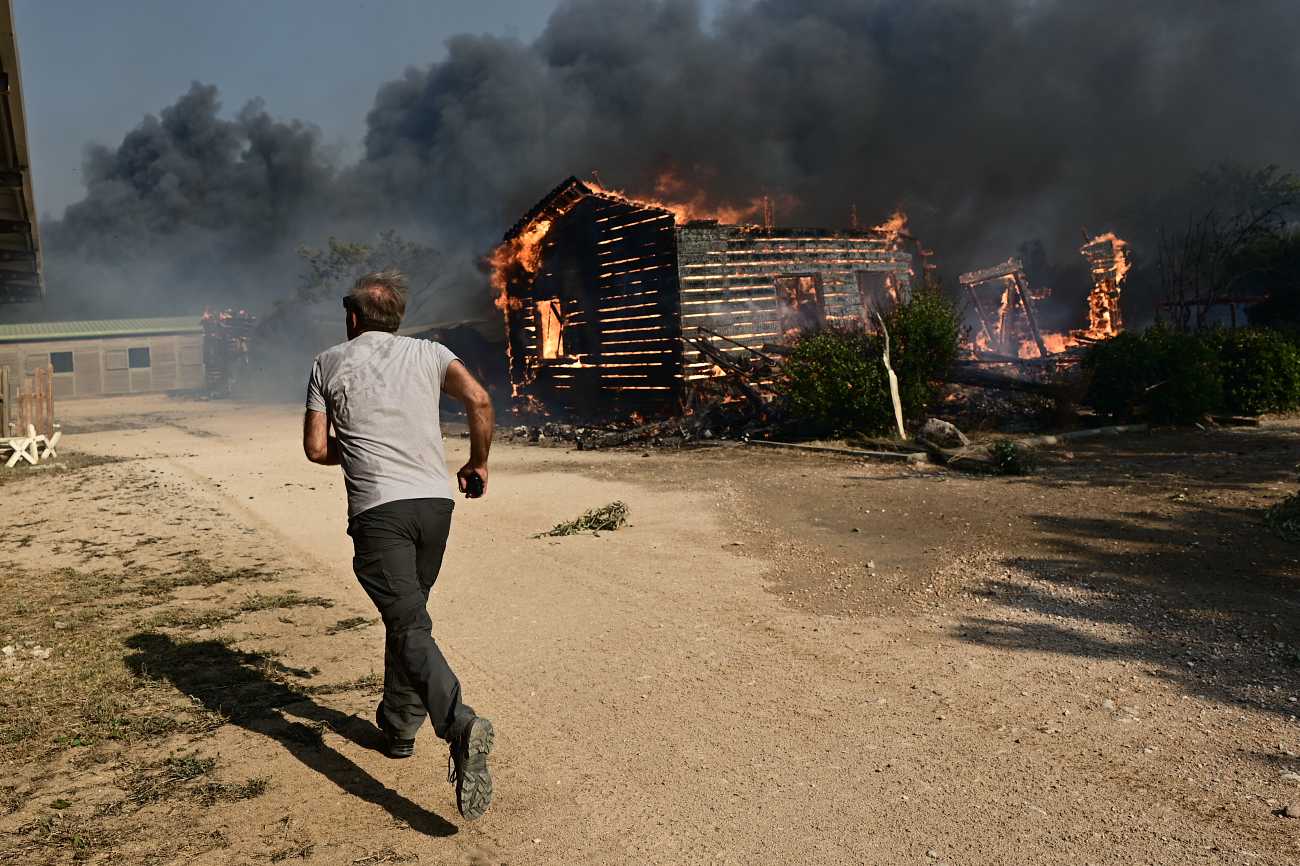 Λαγονήσι: Κάηκε το καταφύγιο Fazoo Farm – Γλίτωσαν ελάχιστα ζώα, σύμφωνα με καταγγελία