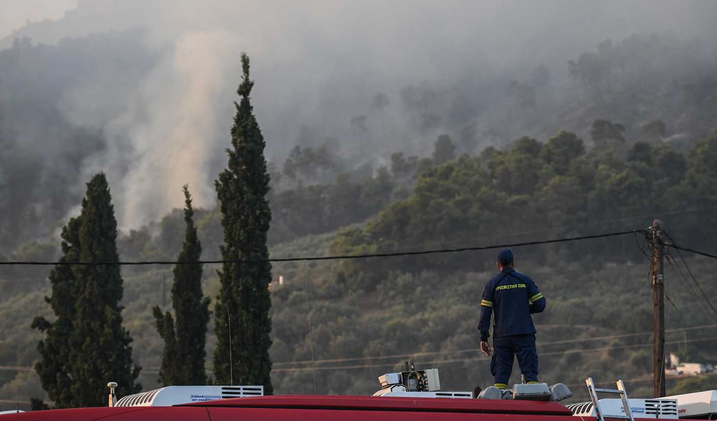 Πυρκαγιά στη Χαλκιδική: Τέθηκε υπό έλεγχο η φωτιά που έκαιγε χορτολιβαδική έκταση