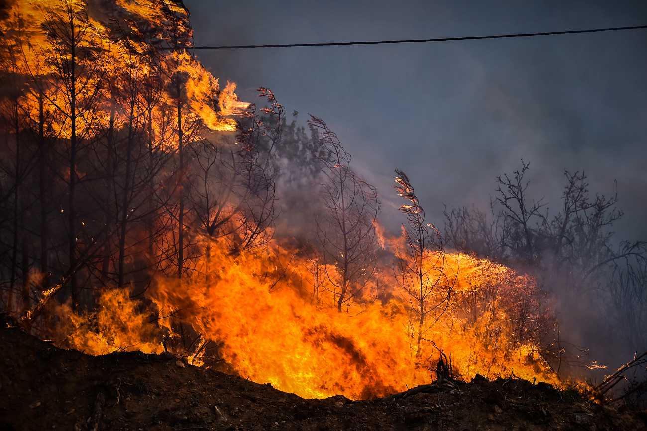 Φωτιά στη Μαγνησία: Νέο 112 για έξι ακόμη περιοχές – «Παραμείνετε σε ετοιμότητα»