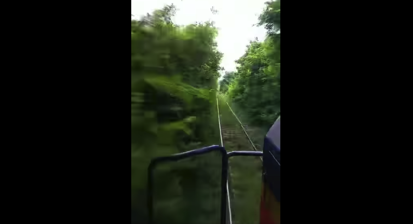 Σιδηροδρομικές ράγες «θαμμένες» στα δέντρα – «Ούτε ελικόπτερο δεν σε βρίσκει» (Video)