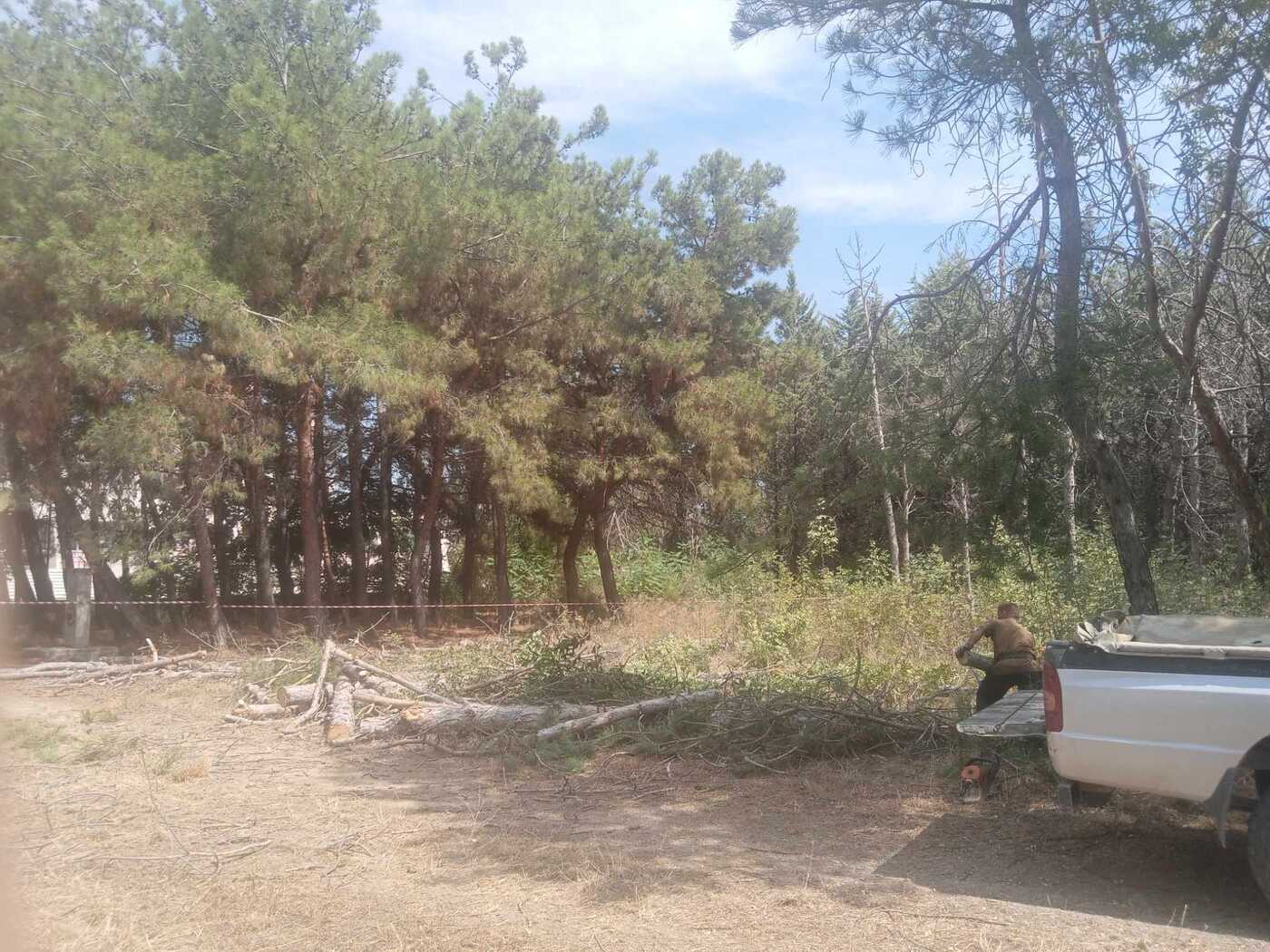 Αλεξανδρούπολη: Κόβουν δέντρα για να φτιάξουν γυμναστήριο, ενώ ο Έβρος φλέγεται