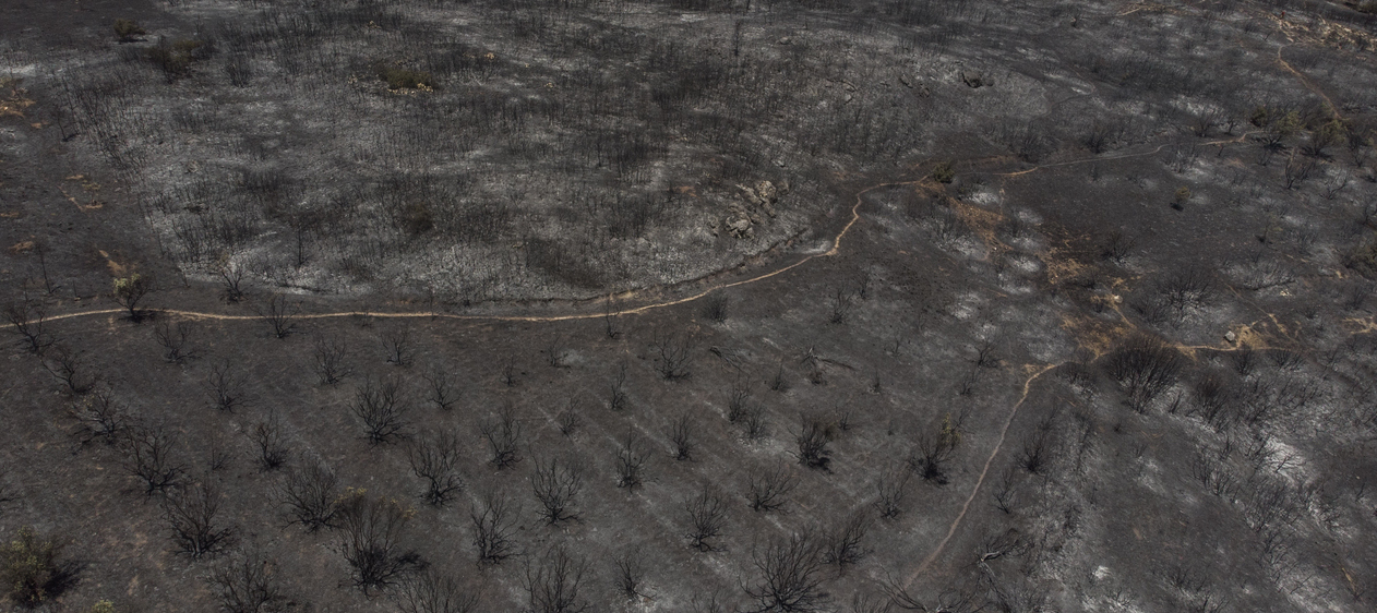 Φωτιές: Κάηκαν 470.000 στρέμματα σε 15 ημέρες!