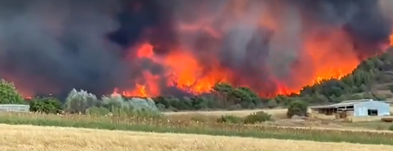 Ανεξέλεγκτη η φωτιά στην Αλεξανδρούπολη-Απειλείται το δάσος της Δαδιάς