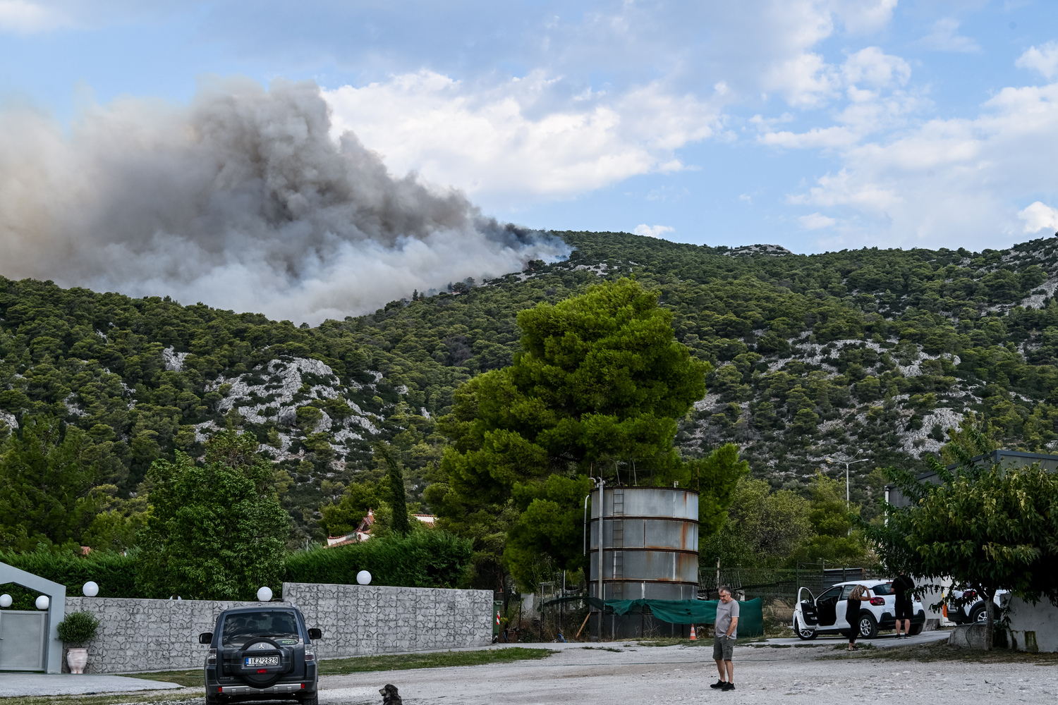 Φωτιά στην Πάρνηθα: Οι φλόγες έφτασαν στον Εθνικό Δρυμό