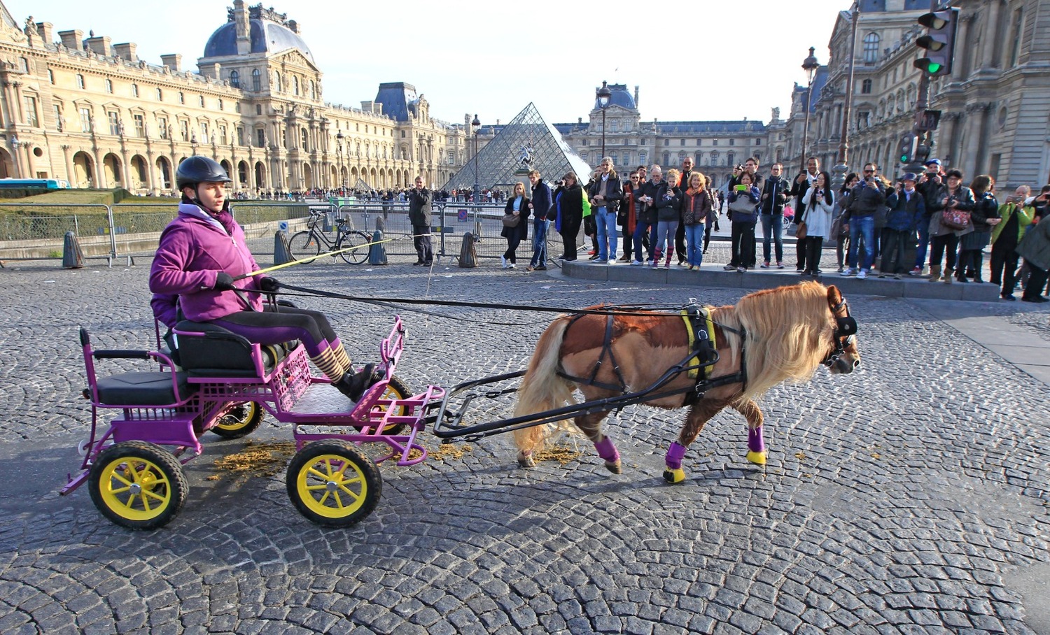 Παρίσι: Απαγορεύτηκαν οι βόλτες με πόνι μετά από εκστρατεία για τα δικαιώματα των ζώων