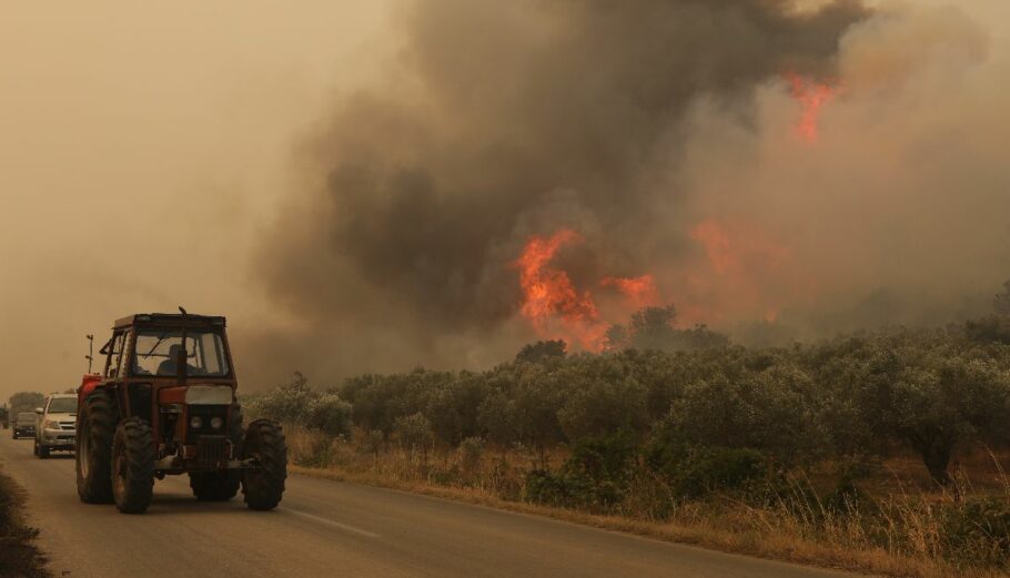 Για 15η μέρα συνεχίζονται οι φωτιές στον Έβρο – Κίνδυνος πυρκαγιάς σε 4 περιφέρειες