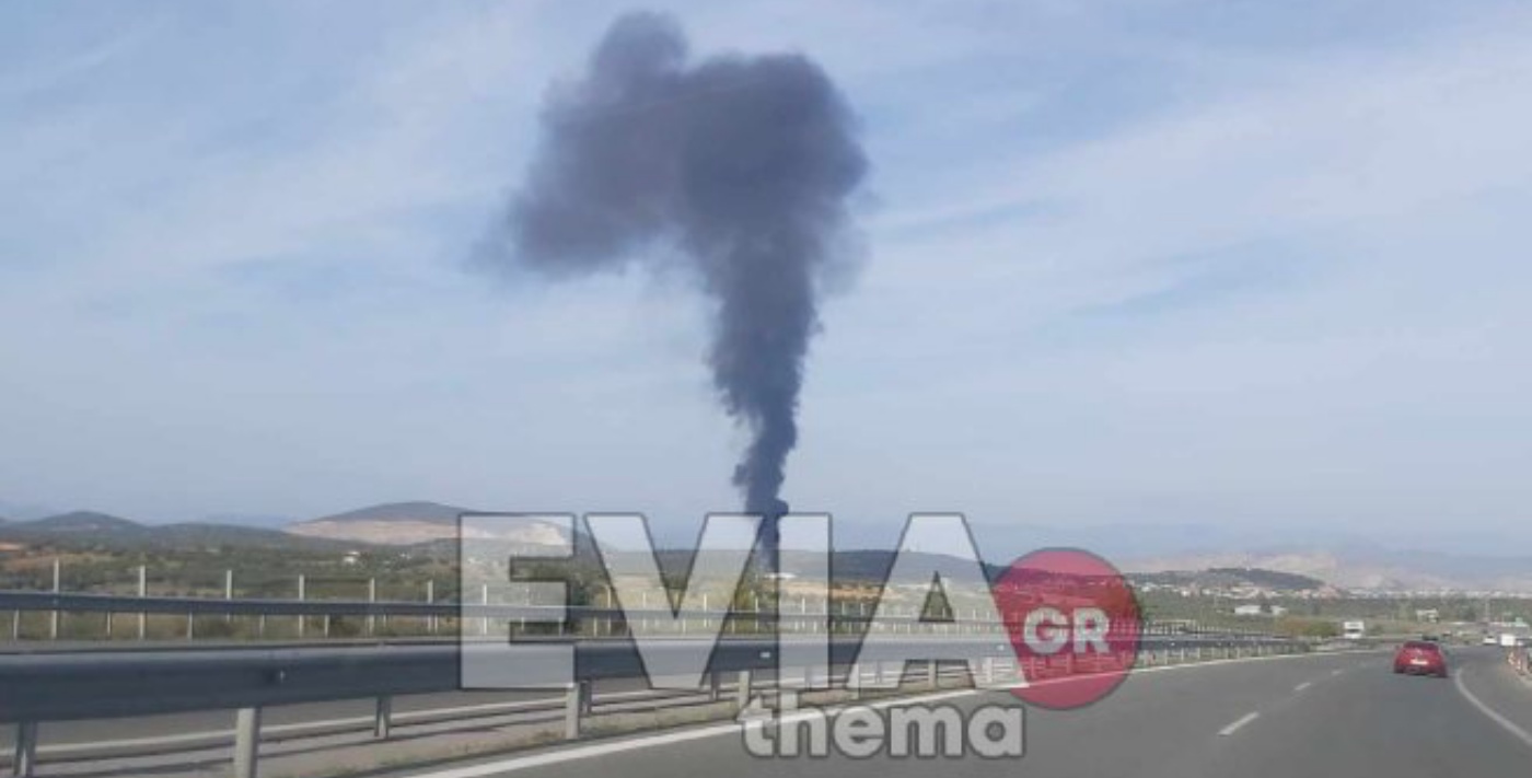 Εύβοια: Φωτιά σε εργοστάσιο στη Ριτσώνα – Φόβος για ισχυρή έκρηξη