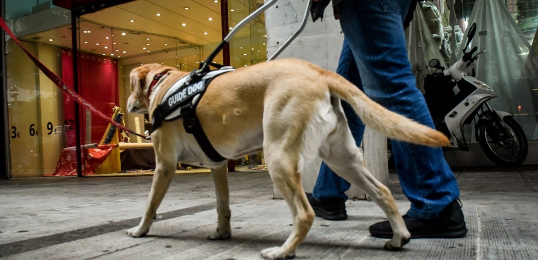 Πλημμελειοδικείο Αθηνών: Απόφαση-δικαίωση για τυφλά άτομα με σκύλο-οδηγό