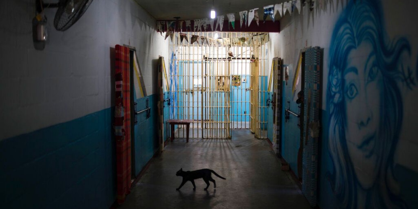 Οι γάτες στη μεγαλύτερη φυλακή της Χιλής κρατούν συντροφιά στους κρατούμενους