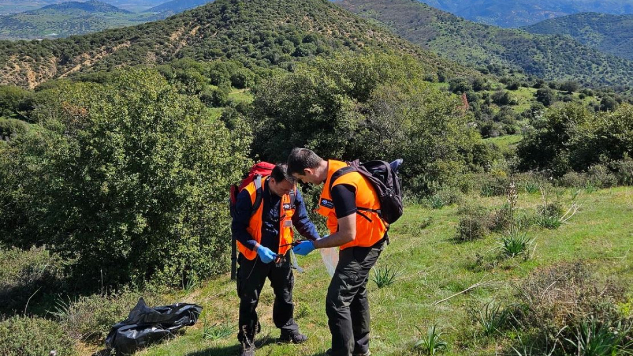 Θεσσαλία: Εντοπίστηκαν 193 δηλητηριασμένα δολώματα και αρκετά νεκρά ζώα