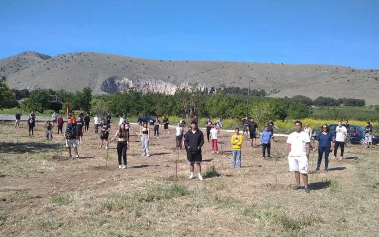 Λάρισα: Μαθητές φύτεψαν 57 δέντρα ελιάς για τα θύματα των Τεμπών